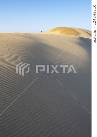 風紋(鳥取砂丘) 風紋(鳥取砂丘) 124248210