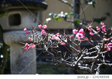 伊藤忠右衛門記念館 124248508