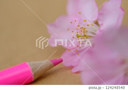 早春の美術イメージ素材 早春の美術イメージ素材 124248540