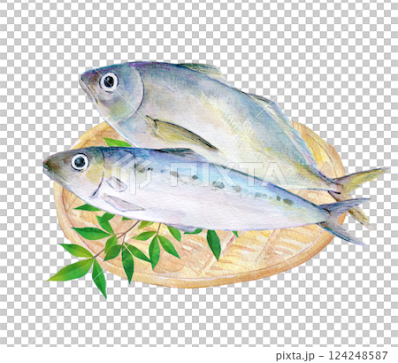 水彩イラスト　青魚のセットイラスト 124248587