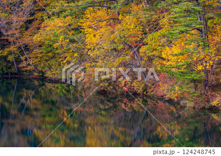 秋の世界遺産白神山地 紅葉の十二湖 王池 秋の世界遺産白神山地 紅葉の十二湖 王池 124248745