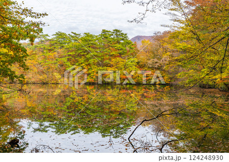 秋の世界遺産白神山地 紅葉の十二湖 王池 秋の世界遺産白神山地 紅葉の十二湖 王池 124248930