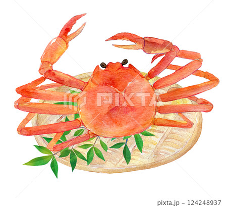 水彩イラスト　新鮮なカニ 124248937
