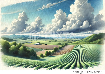 春のジャガイモ畑 124248943