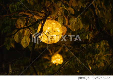 木の枝に吊るされた球体イルミネーション 124248982