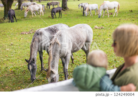 A woman and child are observing a group of horses grazing in a green field in a rural area, surrounded by plants and grass in the ecoregion A woman and child are observing a group of horses grazing in a green field in a rural area, surrounded by plants and grass in the ecoregion 124249004
