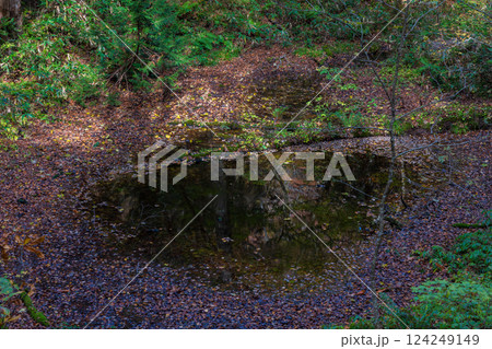 秋の世界遺産白神山地　紅葉の十二湖　がま池 124249149