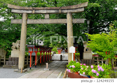 六孫王神社と紫陽花 124249155