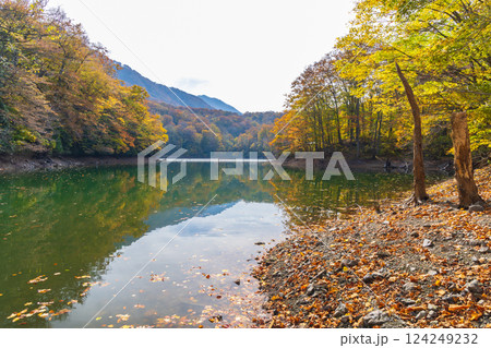 秋の世界遺産白神山地 紅葉の十二湖 鶏頭場の池 秋の世界遺産白神山地 紅葉の十二湖 鶏頭場の池 124249232
