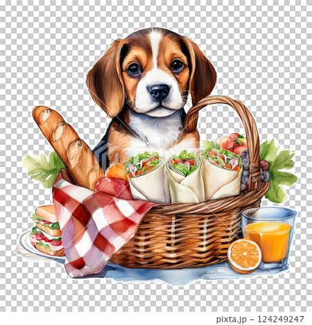 ピクニックバスケットに入るビーグルの子犬のイラスト2／チラシやポスター用素材 124249247