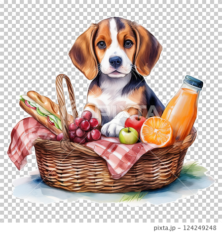 ピクニックバスケットに入るビーグルの子犬のイラスト3／チラシやポスター用素材 124249248
