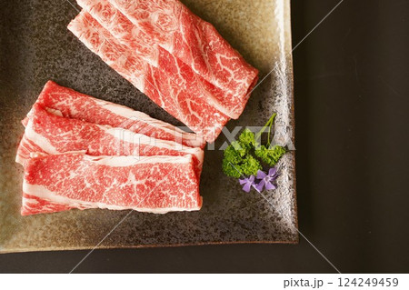 黒毛和牛赤身スライス 黒毛和牛赤身スライス 124249459