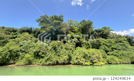 川から見る沖縄の自然 3 川から見る沖縄の自然 3 124249614