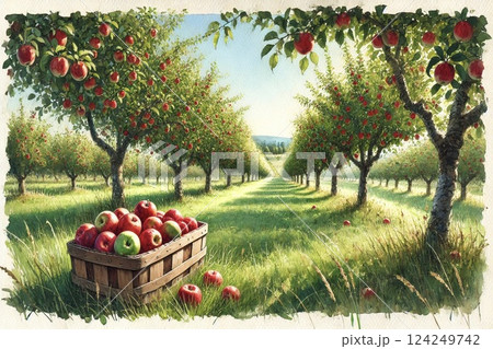 りんご園・りんご 124249742