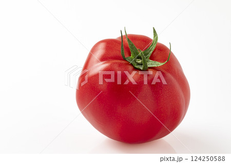 白バックのトマト 124250588
