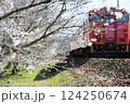 桜に見送られながら動き出したタラコちゃん 124250674