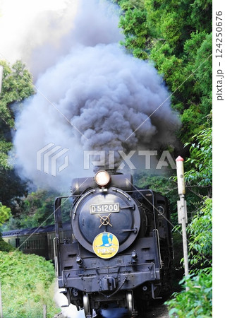 津和野発の山あいを走り抜ける蒸気機関車「SLやまぐち号」 124250676