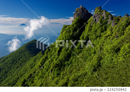夏の八ヶ岳連峰・権現岳山頂の岩峰と富士山・三ツ頭 夏の八ヶ岳連峰・権現岳山頂の岩峰と富士山・三ツ頭 124250942