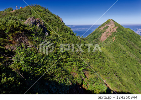 夏の八ヶ岳連峰・権現岳山頂とギボウシのピーク 夏の八ヶ岳連峰・権現岳山頂とギボウシのピーク 124250944