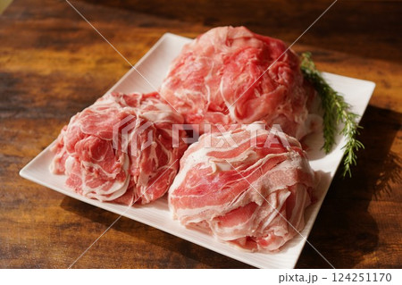 国産豚切り落とし肉 国産豚切り落とし肉 124251170