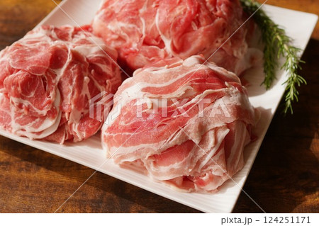 国産豚切り落とし肉 国産豚切り落とし肉 124251171