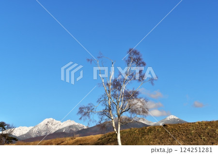 冬の八ヶ岳 冬の八ヶ岳 124251281