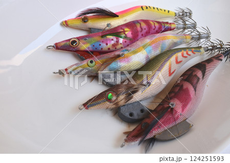 エギのカラー選択は好きな色を使う エギのカラー選択は好きな色を使う 124251593