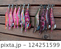 餌木のカラーは数種類を使分けてアオリイカを確保しよう 124251599