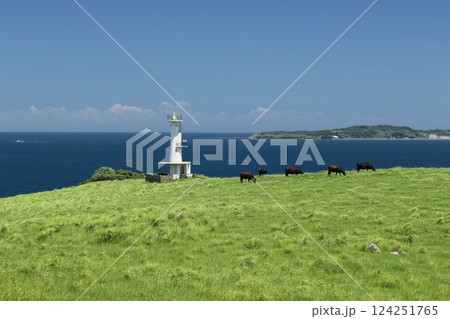 肥前立石埼灯台　8 124251765