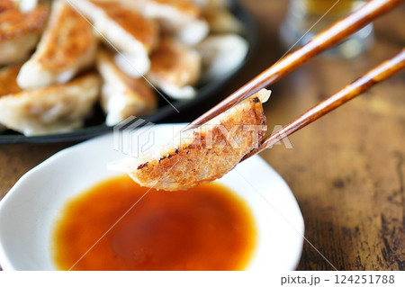 焼き餃子 焼き餃子 124251788