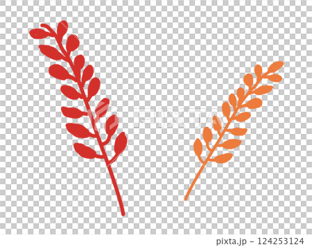 植物材料 124253124