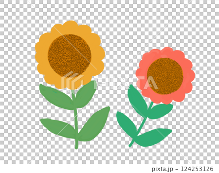 可愛的向日葵 可愛的向日葵 124253126