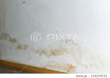 Flooding rainwater or floor heating systems, causing damage, peeling paint and mildew. Flooding rainwater or floor heating systems, causing damage, peeling paint and mildew. 124254532