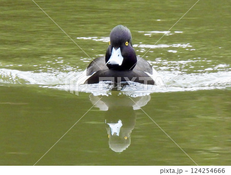 一心同体? 一心同体? 124254666