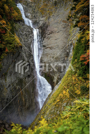 落差日本一。紅葉真っ盛りの称名滝 落差日本一。紅葉真っ盛りの称名滝 124254863