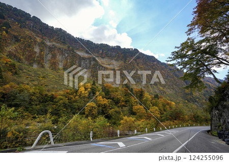 紅葉真っ盛りの立山山麓・悪城の壁 124255096
