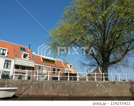 the city of Haarlem in the netherlands 124255422
