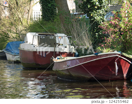 the city of Haarlem in the netherlands 124255462