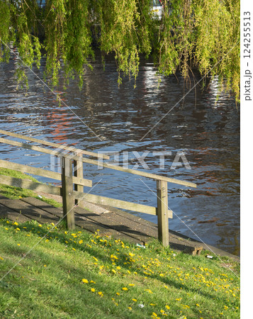 the city of Haarlem in the netherlands 124255513