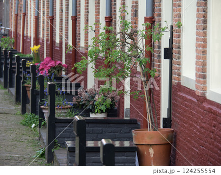 Haarlem city in the netherlands Haarlem city in the netherlands 124255554