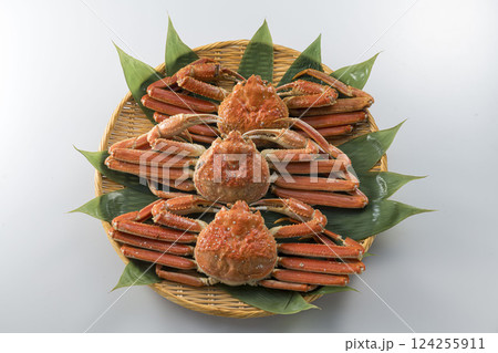 ボイルしたズワイガニ ボイルしたズワイガニ 124255911