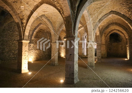 世界遺産中世市場都市プロヴァンに張り巡らされた地下道 世界遺産中世市場都市プロヴァンに張り巡らされた地下道 124256620