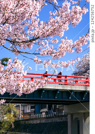 210411中橋桜g26 124256752