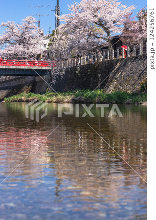 210411中橋桜g100 210411中橋桜g100 124256761