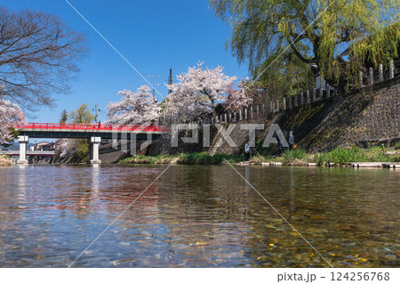 210411中橋桜z144 124256768