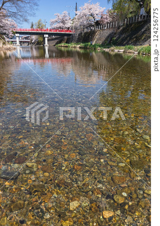 210411中橋桜z171 210411中橋桜z171 124256775