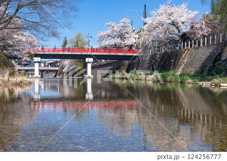 210411中橋桜z181 210411中橋桜z181 124256777