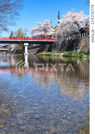 210411中橋桜z183 124256778