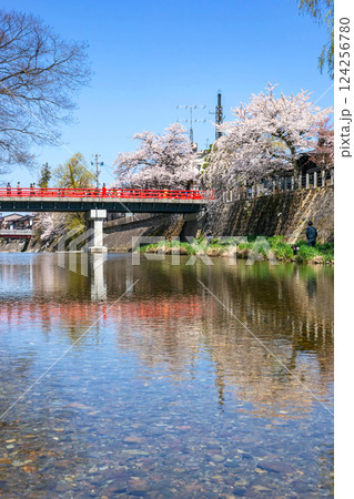 210411中橋桜z191 124256780