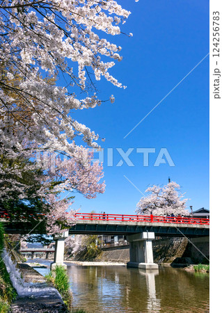 210411中橋桜z202 124256783